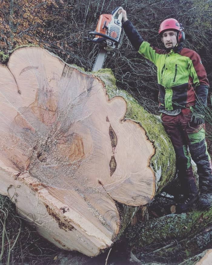 Fabien à côté d'un tronc de gros diamètre fraîchement abattu, tronçonneuse posée sur la coupe