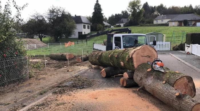 Camion-grue chargeant les billons après un abattage